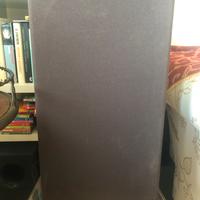 Casse acustiche B&W DM10