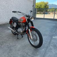 Dicati scrambler 350