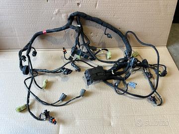 Impianto elettrico motore Ducati Multistrada V4 11