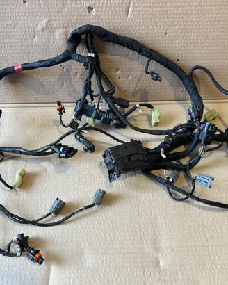 Impianto elettrico motore Ducati Multistrada V4 11