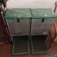 mangiatoie automatiche polli galline 
