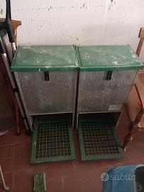 mangiatoie automatiche polli galline 