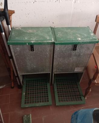 mangiatoie automatiche polli galline 