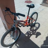 Bicicletta