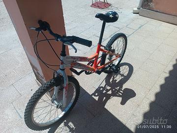 Bicicletta
