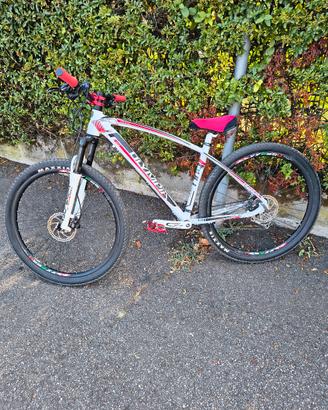 Wheelie MTB Olympia Bull
