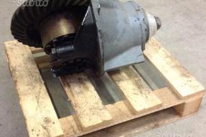 Differenziali per IVECO