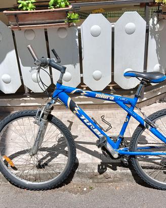 Mountain-bike
