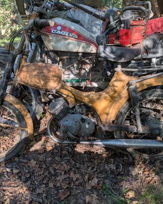 Moto Guzzi dingo