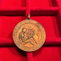 Medaglia guerra italo-austriaca 1915-1917