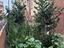 Immagine 14