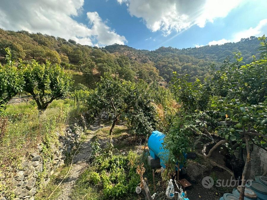 Terreno Agricolo Cataforio 1500 Mq - Vista 4