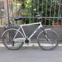 Bici da città o da trekking bicicletta city bike