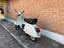 Immagine 4