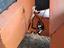 Immagine 12