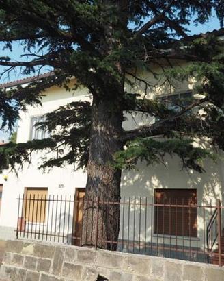 Rif.24286| appartamento trilocale