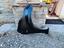 Immagine 1