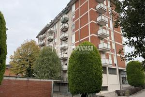 AMPIO BILOCALE CON CANTINA