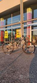 Transition Sentinel Alloy varie taglie e colori