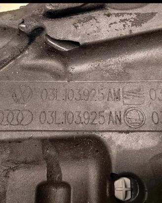 copertura motore vw