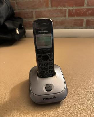 Panasonic KX-TG2511JT