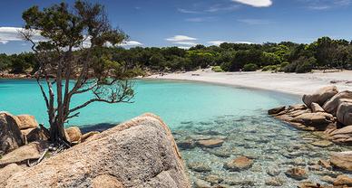 Vacanze in Sardegna - palau last minute