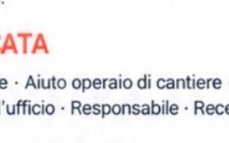 Candidatura – Disponibilità immediata