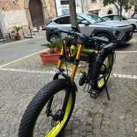 Bicicletta elettrica