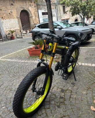 Bicicletta elettrica