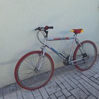 mountain bike 26