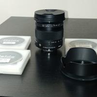 sigma 17 -70 f/2.8 macro attacco nikon 