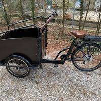 Bici cargo
