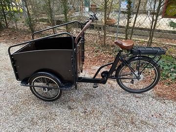 Bici cargo
