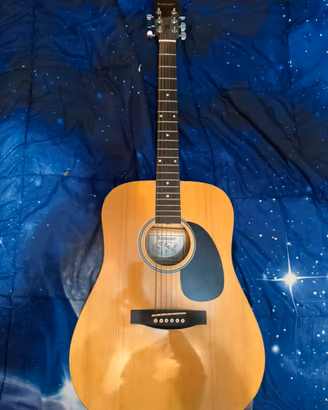 Chitarra acustica Johnson VL-6200N