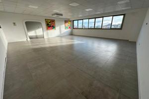 Locale artigianale / ufficio 278 mq