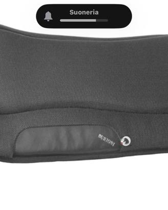 Sottosella americano, western