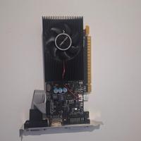 Scheda Grafica e Alimentatore