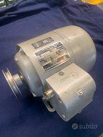 Motore elettrico trifase