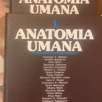 anatomia umana