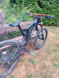 Specialized Downhill