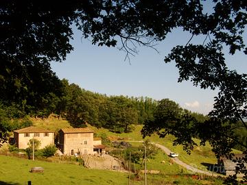 Nel mugello casale con 58 ettari di terreno