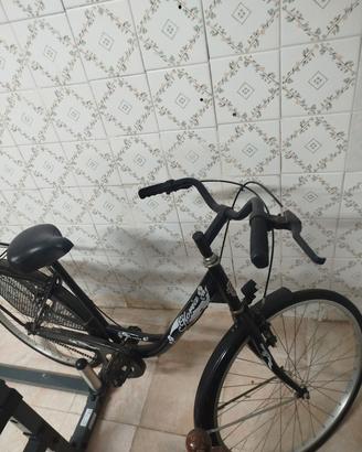 bicicletta
