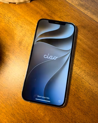 IPhone 12 pro max 256GB