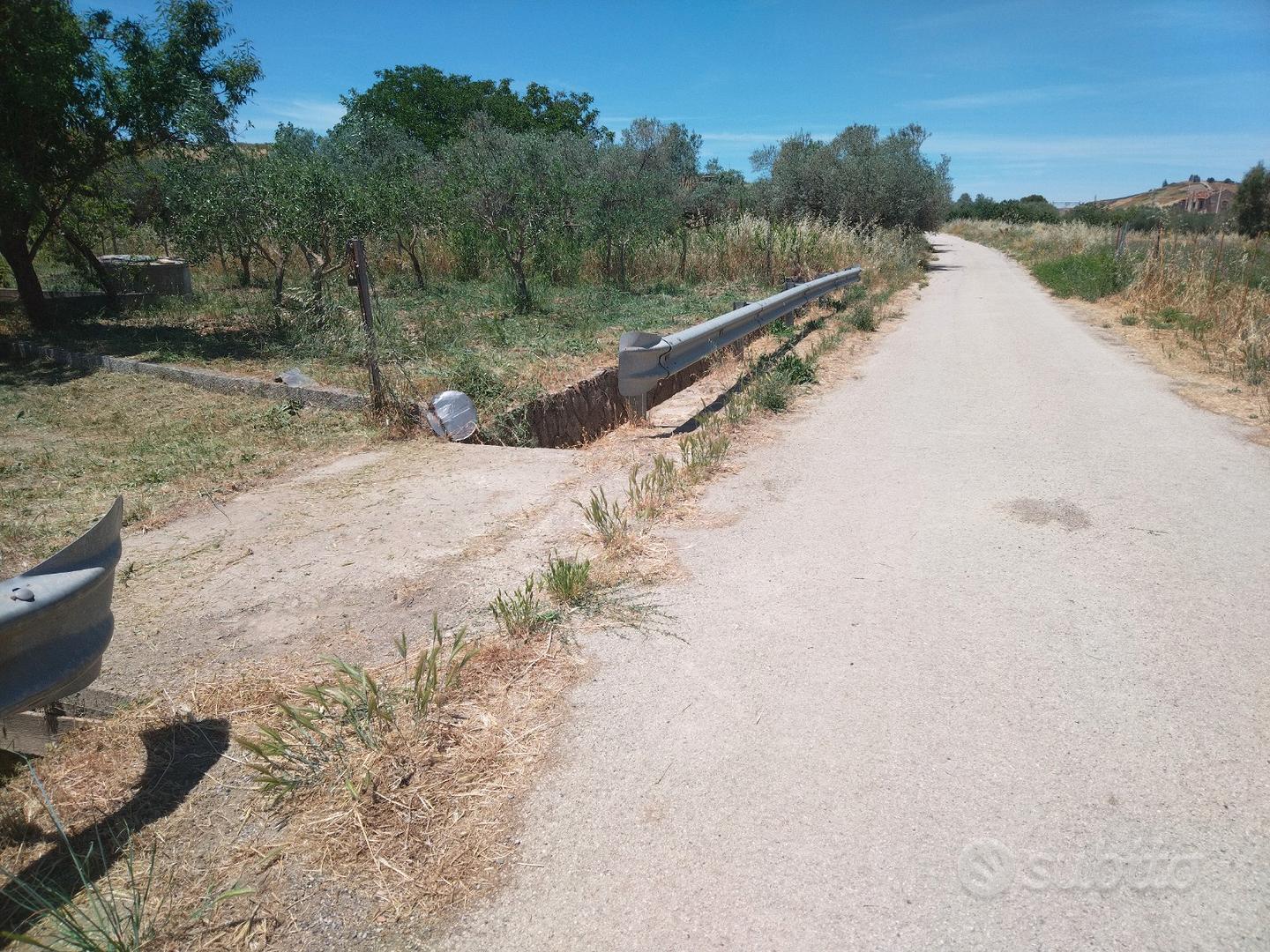 Terreno uliveto seminativo con casa - Vista 4