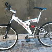 bicicletta da trekking