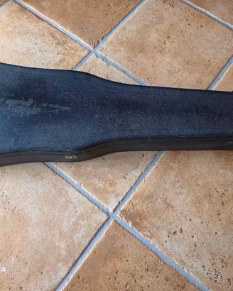 custodia violino del 1850