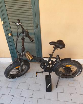 bici elettrica icon.e fat bike