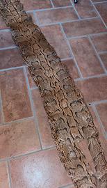 Vera Pelle Di Pitone