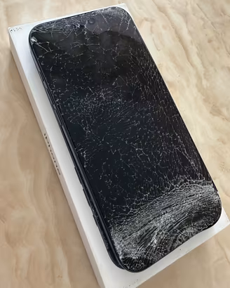 DANNEGGIATO Apple iPhone 17 Pro Max - 256GB
