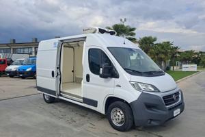 Fiat Ducato FURGONATO FRIGORIFERO TRASPORTO CARNE